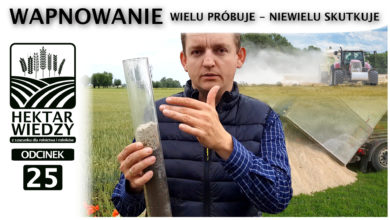 Photo of WAPNOWANIE. WIELU PRÓBUJE – NIEWIELU SKUTKUJE.