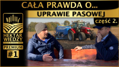 Photo of CAŁA PRAWDA O… UPRAWIE PASOWEJ. [CZĘŚĆ 2.]