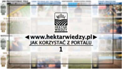 Photo of JAK KORZYSTAĆ Z PORTALU | 1