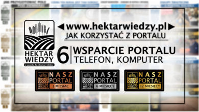 Photo of JAK KORZYSTAĆ Z PORTALU | 6 [WSPARCIE PORTALU – TELEFON, KOMPUTER]