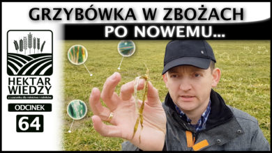 Photo of GRZYBÓWKA W ZBOŻACH – PO NOWEMU… | ODCINEK #64