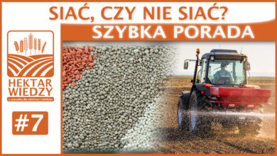 Photo of SIAĆ, CZY NIE SIAĆ?