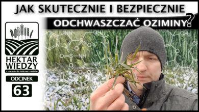 Photo of JAK SKUTECZNIE I BEZPIECZNIE ODCHWASZCZAĆ OZIMINY? | ODCINEK #63