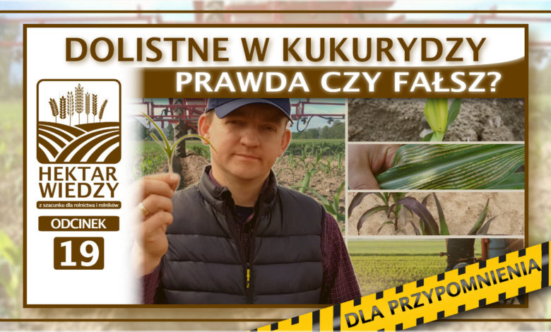 DLA-PRZYPOMNIENIA_ODCINEK_19