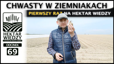 Photo of ZAPOWIEDŹ | CHWASTY W ZIEMNIAKACH – PIERWSZY RAZ NA HEKTAR WIEDZY. | ODCINEK #69