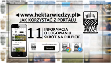 Photo of INFORMACJE O LOGOWANIU, SKRÓT NA PULPICIE | JAK KORZYSTAĆ Z PORTALU | 11