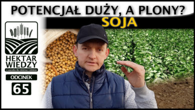 Photo of ZAPOWIEDŹ | SOJA. POTENCJAŁ DUŻY, A PLONY? | ODCINEK #65