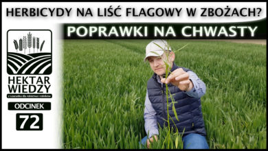 Photo of ZAPOWIEDŹ | HERBICYDY NA LIŚĆ FLAGOWY W ZBOŻACH? POPRAWKI NA CHWASTY. | ODCINEK #72