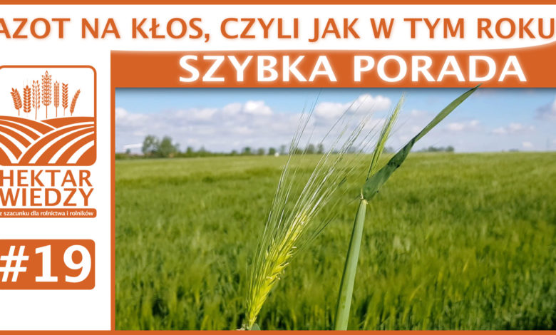 SZYBKA_PORADA_19