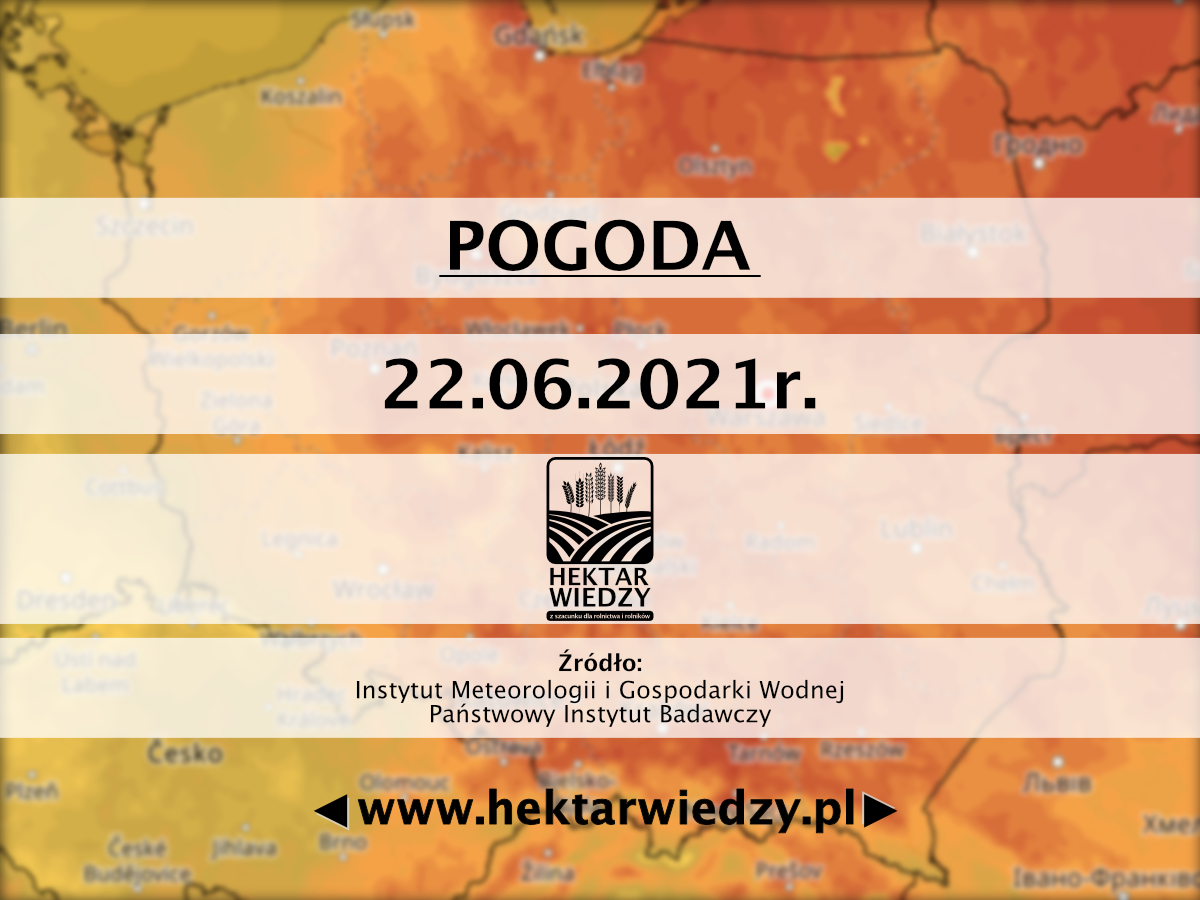 22_POGODA_HW_POJEDYNCZY_17