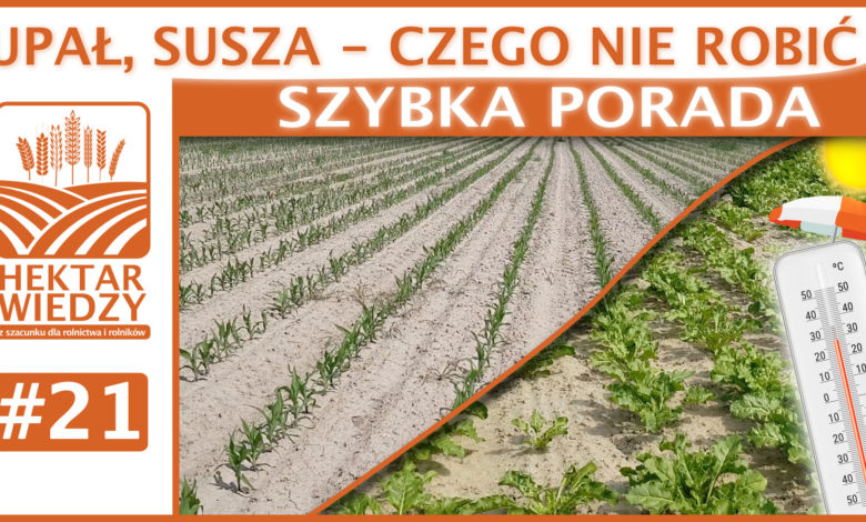 SZYBKA_PORADA_21