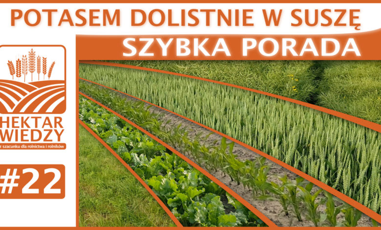 SZYBKA_PORADA_22_OKLADKA