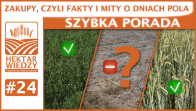 Photo of ZAKUPY, CZYLI FAKTY I MITY O DNIACH POLA. | SZYBKA PORADA #24