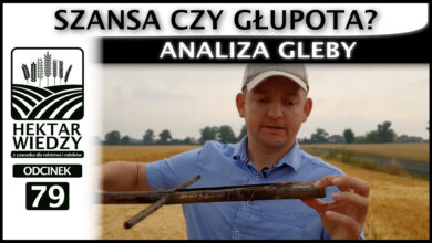 Photo of ANALIZA GLEBY – SZANSA CZY GŁUPOTA? | ODCINEK #79