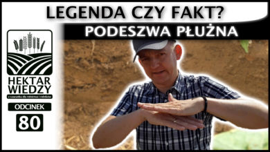 Photo of PODESZWA PŁUŻNA – LEGENDA CZY FAKT? | ODCINEK #80