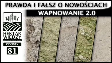 Photo of WAPNOWANIE 2.0, CZYLI PRAWDA I FAŁSZ O NOWOŚCIACH | ODCINEK #81