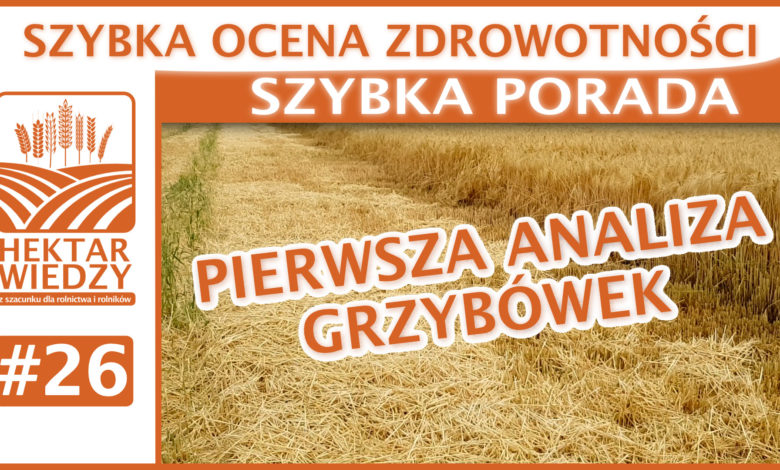 SZYBKA_PORADA_26