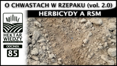 Photo of HERBICYDY A RSM, CZYLI O CHWASTACH W RZEPAKU. (vol. 2.0) | ODCINEK #85