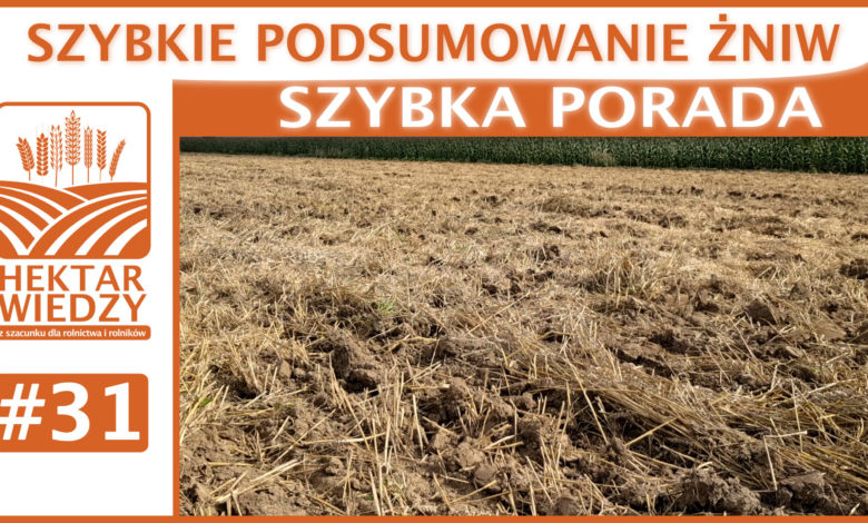 SZYBKA_PORADA_31