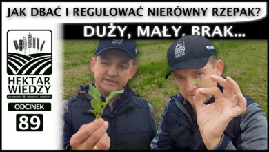 Photo of DUŻY, MAŁY, BRAK, CZYLI JAK DBAĆ I REGULOWAĆ NIERÓWNY RZEPAK? | ODCINEK #89