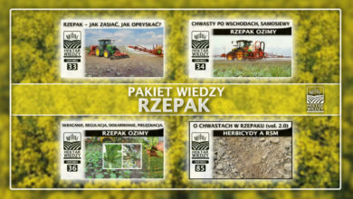 Photo of PAKIET WIEDZY – RZEPAK