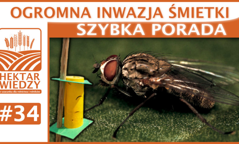 SZYBKA_PORADA_34