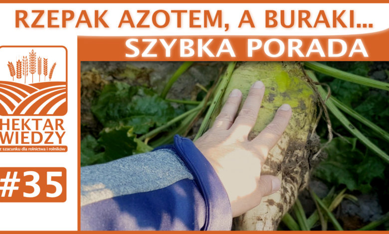 ZYBKA_PORADA_OKLADKA_35_B