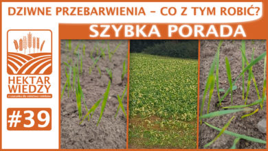 Photo of DZIWNE PRZEBARWIENIA – CO Z TYM ROBIĆ? | SZYBKA PORADA #39