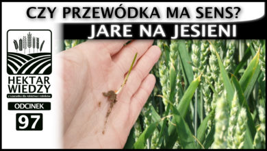 Photo of JARE NA JESIENI, CZYLI CZY PRZEWÓDKA MA SENS? | ODCINEK #97