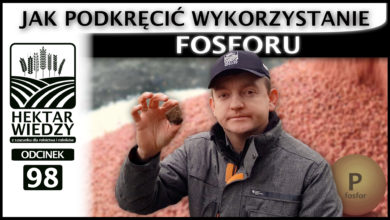 Photo of JAK PODKRĘCIĆ WYKORZYSTANIE FOSFORU? | ODCINEK #98