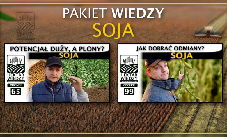 PORTAL_PAKIET_WIEDZY_SOJA