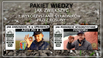 Photo of WYKORZYSTANIE SKŁADNIKÓW POKARMOWYCH PRZEZ ROŚLINY