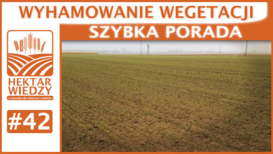 Photo of WYHAMOWANIE WEGETACJI. | SZYBKA PORADA #42