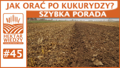 Photo of JAK ORAC PO KUKURYDZY? | SZYBKA PORADA #45