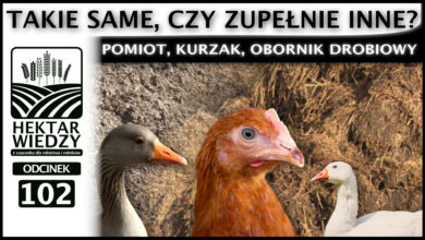 Photo of POMIOT, KURZAK, OBORNIK DROBIOWY – TAKIE SAME, CZY ZUPEŁNIE INNE? | ODCINEK #102