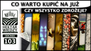 Photo of CO WARTO KUPIĆ NA JUŻ, CZYLI CZY WSZYSTKO ZDROŻEJE? | ODCINEK #103