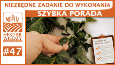 Photo of NIEZBĘDNE ZADANIE DO WYKONANIA od HEKTARA WIEDZY | SZYBKA PORADA #47