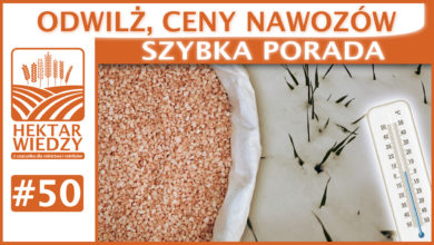 Photo of ODWILŻ, CENY NAWOZÓW. | SZYBKA PORADA #50