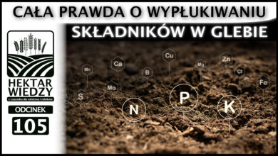 Photo of CAŁA PRAWDA O WYPŁUKIWANIU SKŁADNIKÓW W GLEBIE. | ODCINEK #105