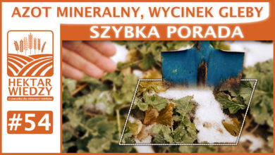 Photo of AZOT MINERALNY, WYCINEK GLEBY. | SZYBKA PORADA #54