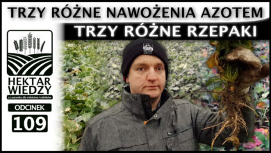 Photo of TRZY RÓŻNE RZEPAKI = TRZY RÓŻNE NAWOŻENIA AZOTEM, CZYLI O AZOCIE NA START. | ODCINEK #109