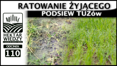 Photo of PODSIEW TUZów, CZYLI RATOWANIE ŻYJĄCEGO. | ODCINEK 110