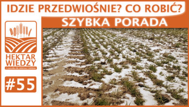 Photo of IDZIE PRZEDWIOŚNIE? CO ROBIĆ? | SZYBKA PORADA #55