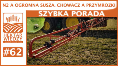 Photo of N2 A OGROMNA SUSZA. CHOWACZ A PRZYMROZKI. | SZYBKA PORADA #62