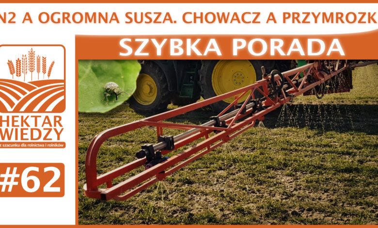 SZYBKA_PORADA_OKLADKA_62