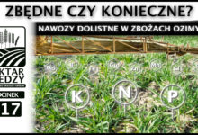 Photo of ZBĘDNE CZY KONIECZNE – NAWOZY DOLISTNE W ZBOŻACH OZIMYCH. | ODCINEK 117