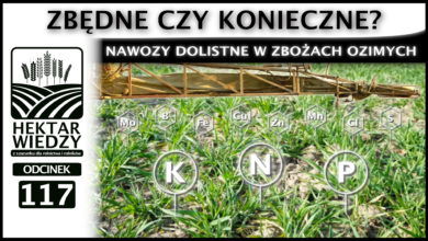 Photo of ZBĘDNE CZY KONIECZNE – NAWOZY DOLISTNE W ZBOŻACH OZIMYCH. | ODCINEK 117