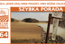 Photo of POLSKA, JEDEN KRAJ DWIE POGODY, DWA RÓŻNE ZALECENIA. | SZYBKA PORADA #64