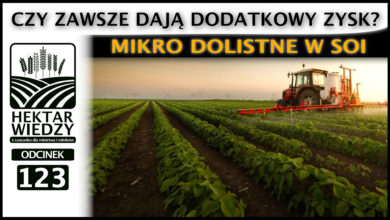 Photo of MIKRO DOLISTNE W SOI. CZY ZAWSZE DAJĄ DODATKOWY ZYSK?  | ODCINEK 123