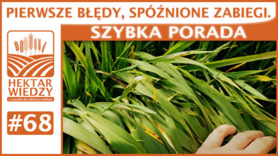 Photo of PIERWSZE BŁĘDY, SPÓŹNIONE ZABIEGI. | SZYBKA PORADA #68